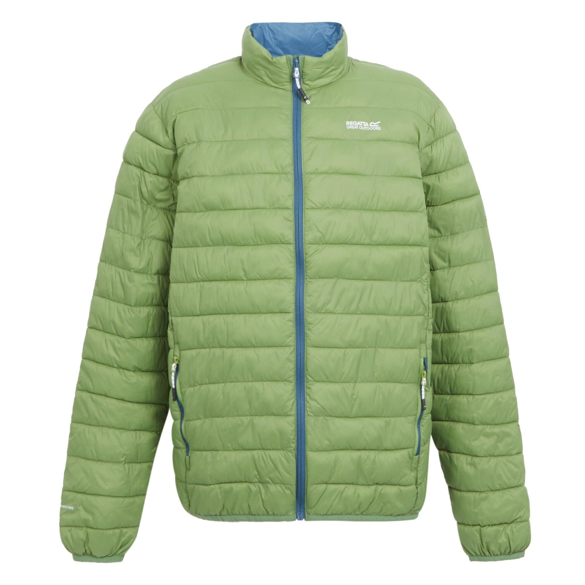 Men's HILLPACK insulated jacket (Piquant green)