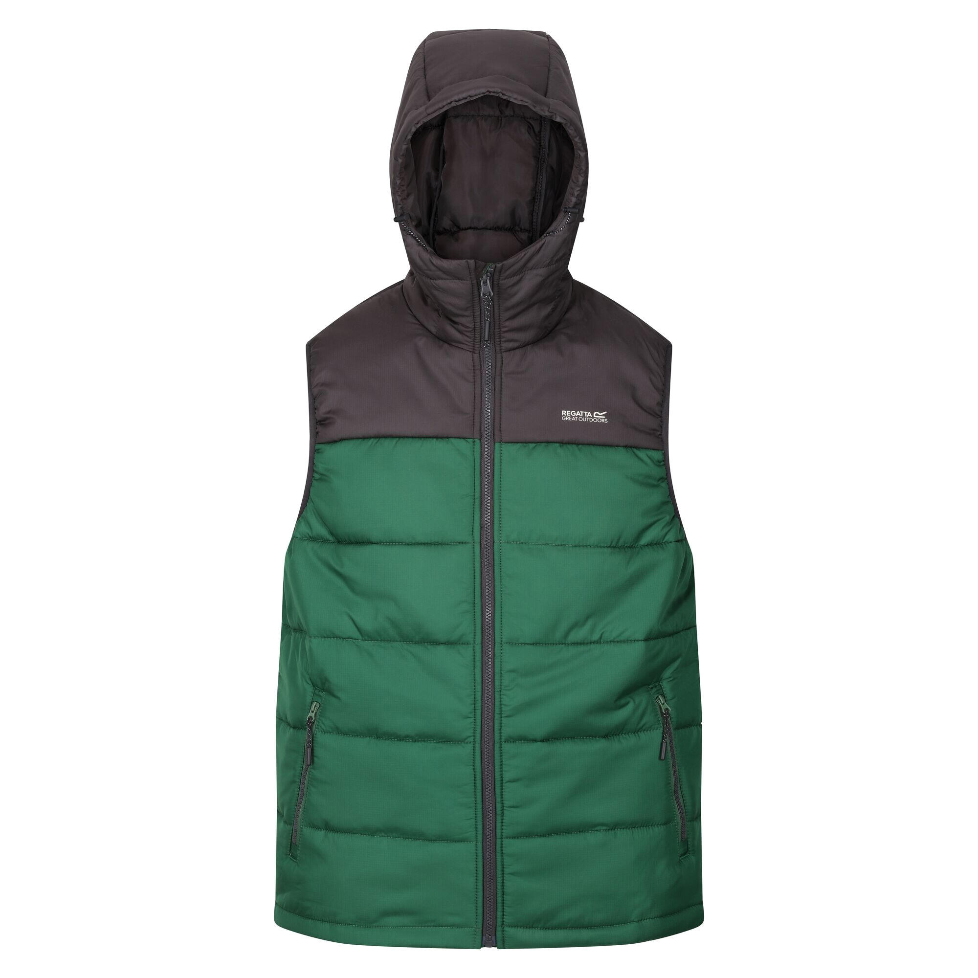 Men's NEVADO sleeveless jacket (Ash / Green)