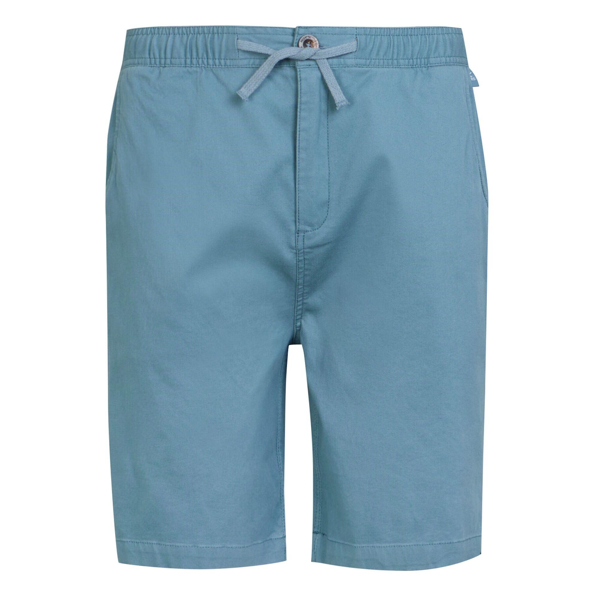 Men's ALDAN shorts (Blue)