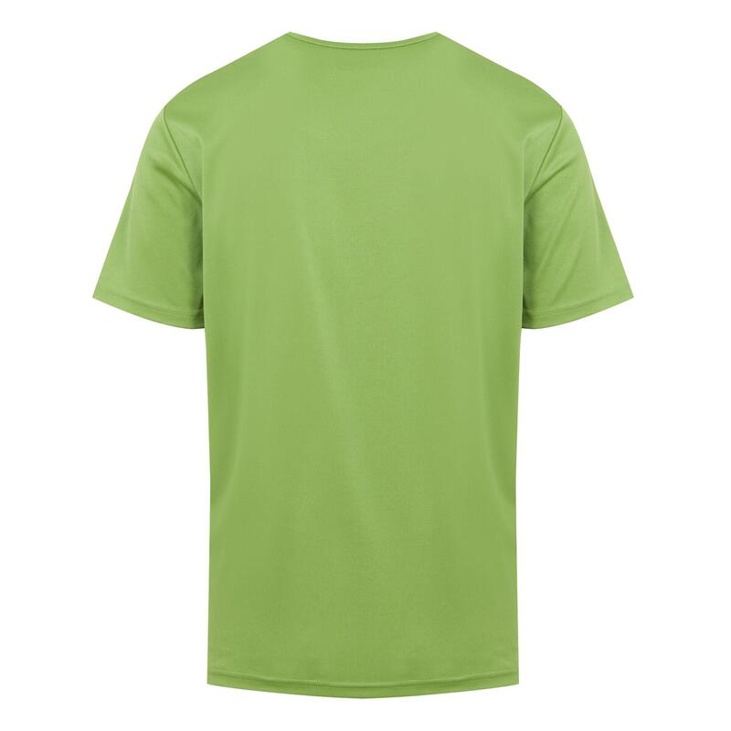 Tshirt FINGAL Homme (Vert piquant)