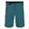 Heren Xert III Stretch Shorts (Pacifisch Groen)