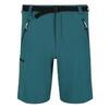 Heren Xert III Stretch Shorts (Pacifisch Groen)