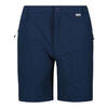 Heren Highton Mid Shorts (Blauwe Vleugel)