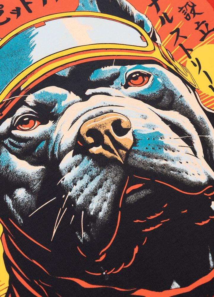 Koszulka męska Pitbull Fuji 7/7