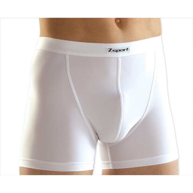 Boxer Zsport