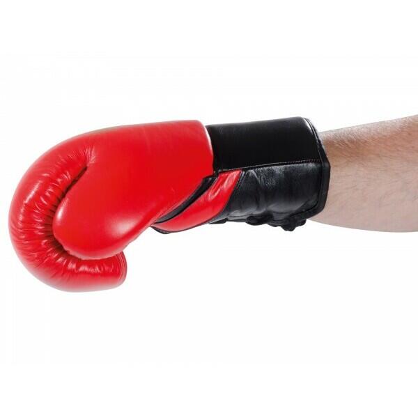 Kwon Professional Boxing Tournament gloves