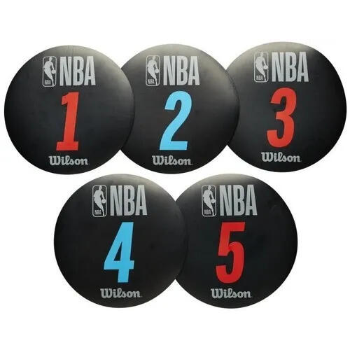 Marqueur d'entraînement Wilson NBA 2/2