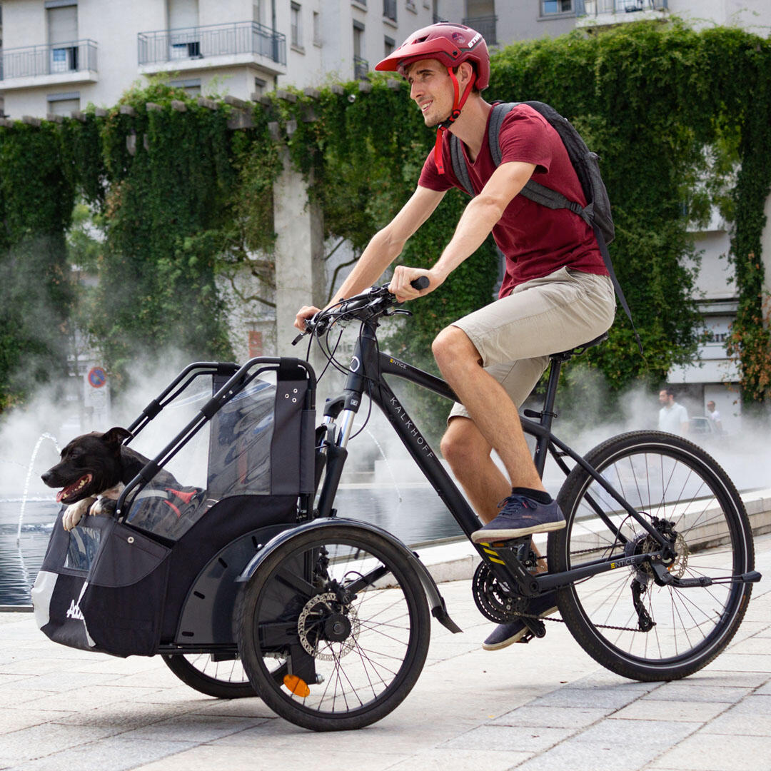 Lastenfahrrad für Hunde 3/7