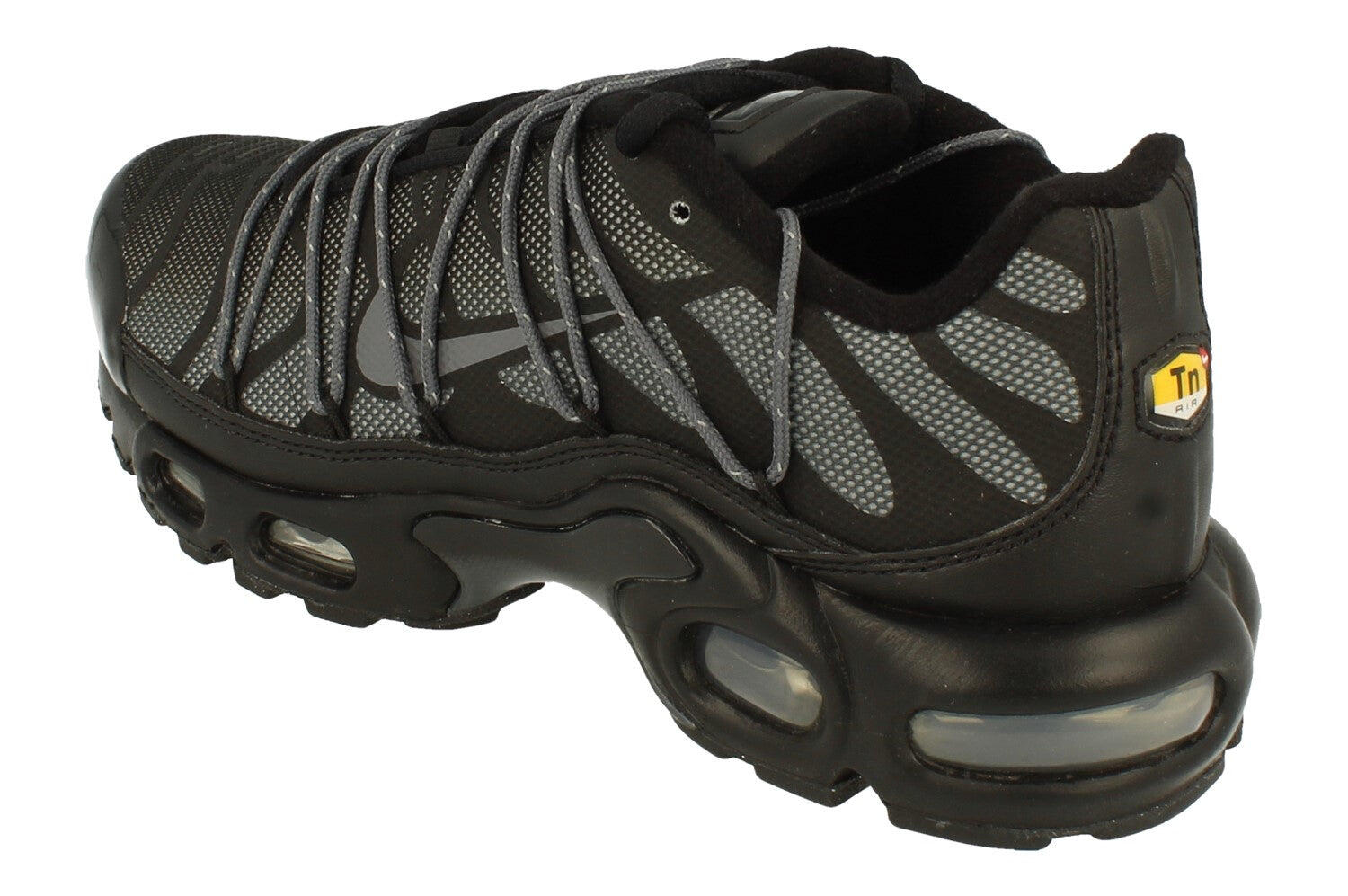 Air Max Plus Lace Flh Womens Trainers FZ2770 001 2/5