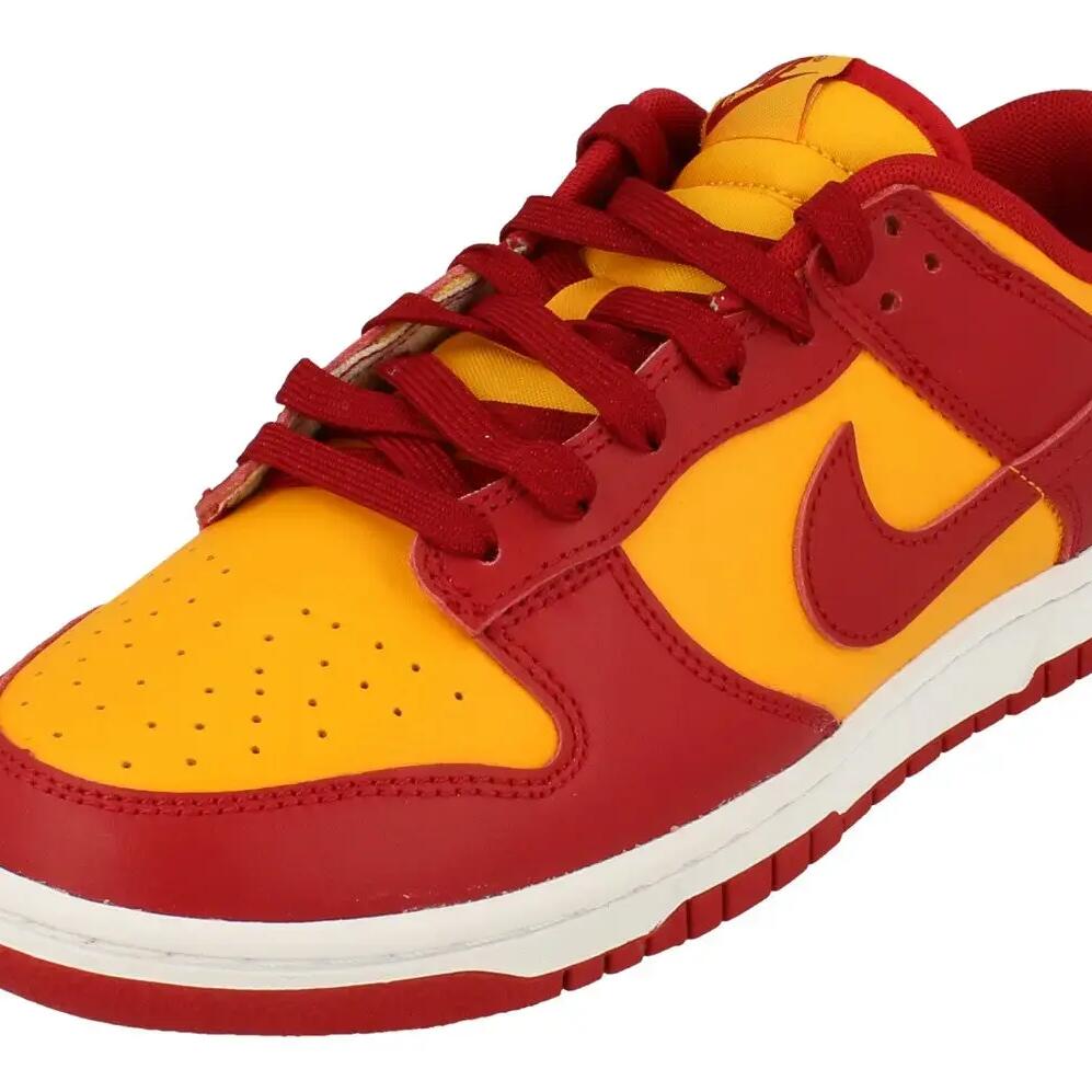 Dunk Low Retro Mens Trainers Dd1391 701