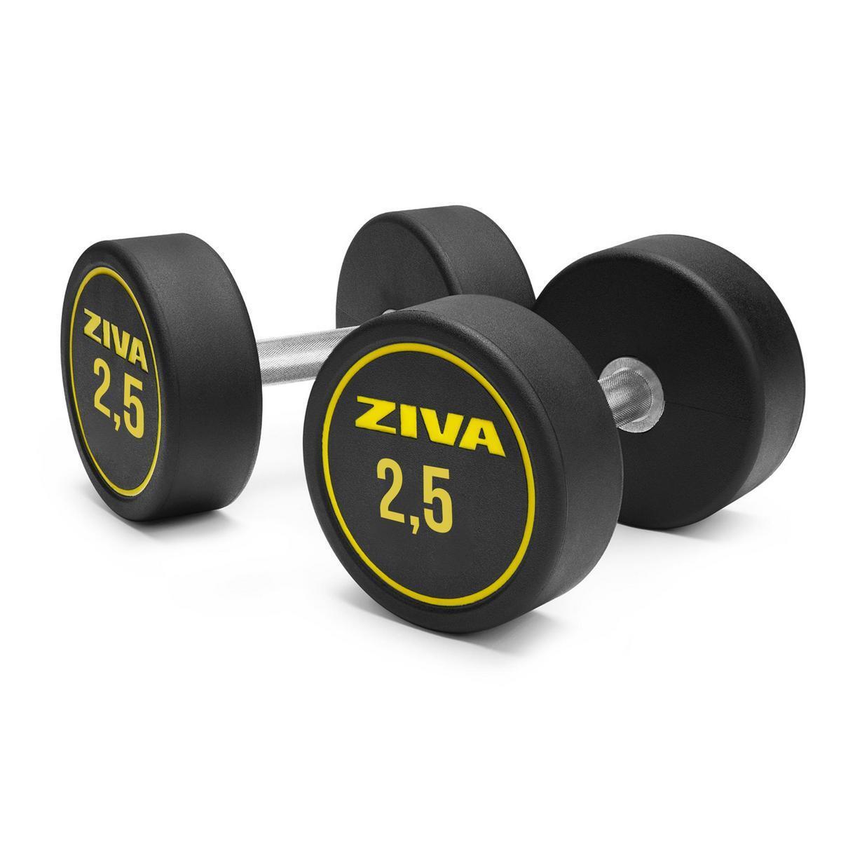 Mancuernas redonda ZIVA performance 2.5kg 2/3