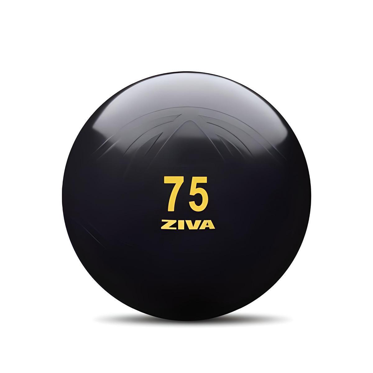 ZIVA picture