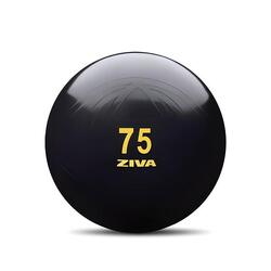 Fitball ZIVA classic 55cm