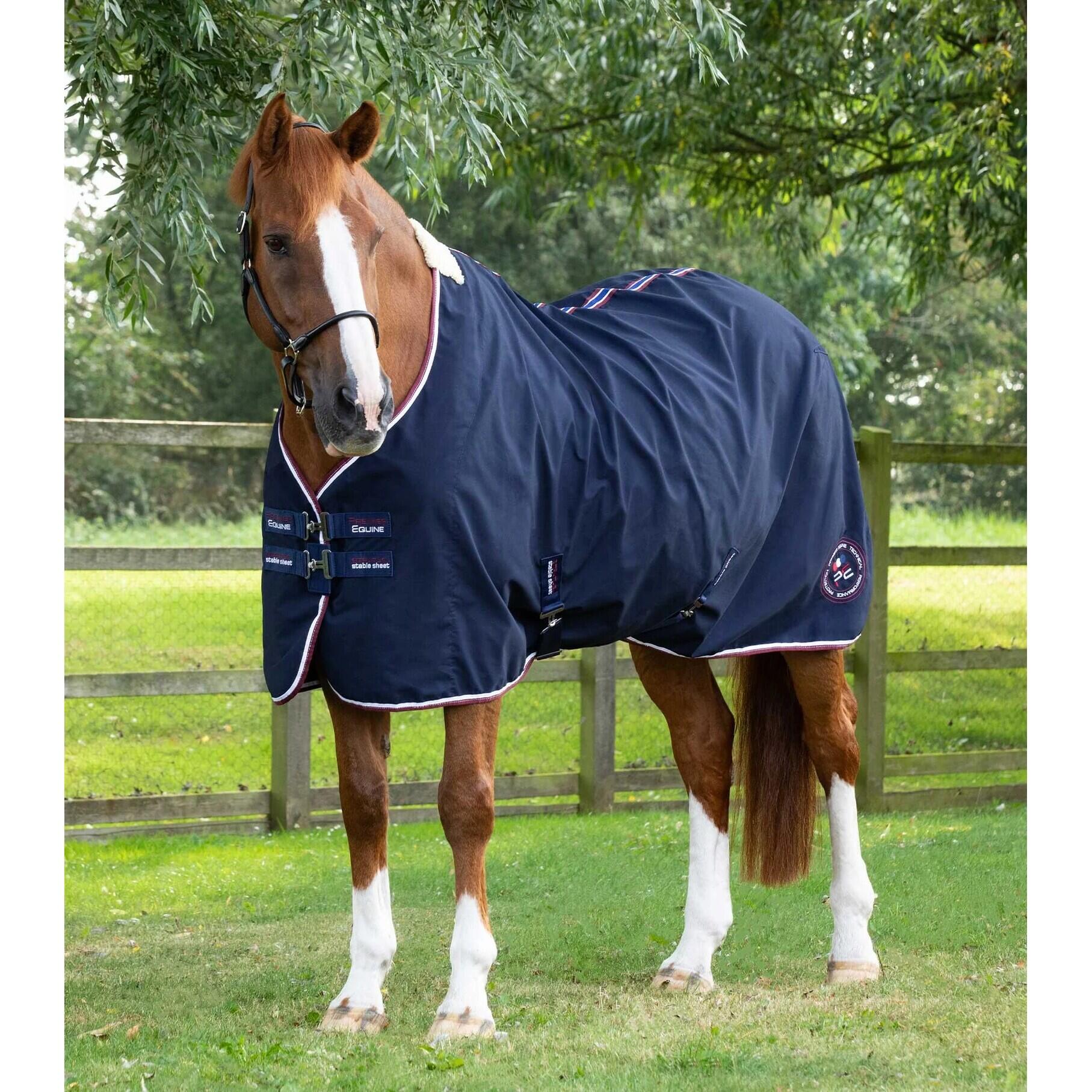 Horse stable rug for horses Premier Equine Stratus