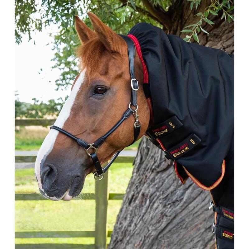 Couverture d'extérieur pour cheval avec couvre cou Premier Equine Titan Storm 45