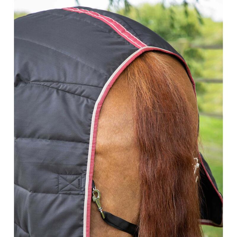 Coperta da stalla per cavalli Premier Equine Garissa 100 g