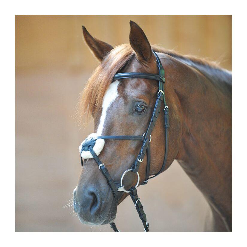 Kavalkade Briglia Snaffle con nasello messicano Carlos