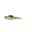 Weepin - 20,5cm - Chrystal Ghost Perch