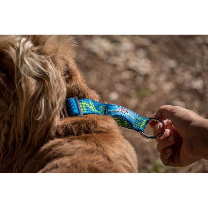 Collar semi-deslizable para perro Névé SC - Inlandsis 2/6