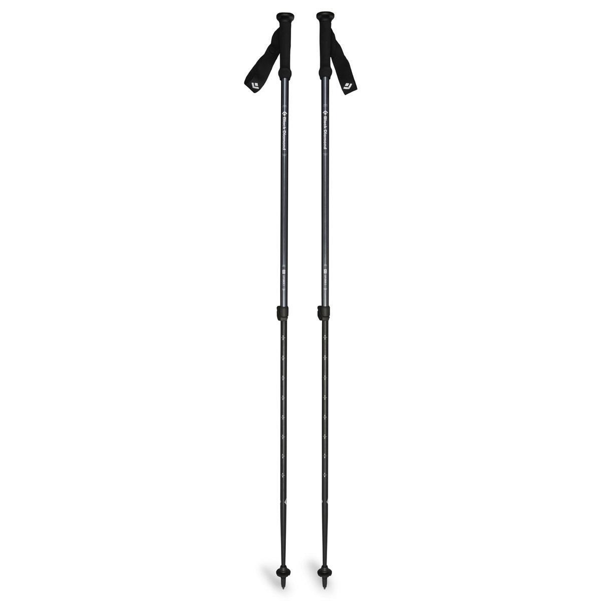 Wandelstokken Black Diamond Explorer 2 2/4