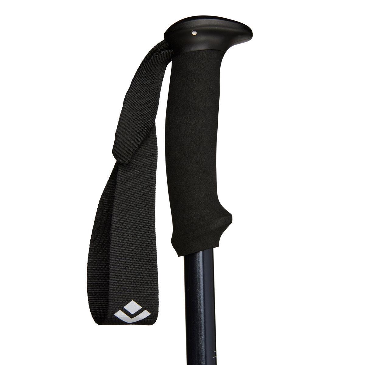 Wandelstokken Black Diamond Explorer 2 3/4