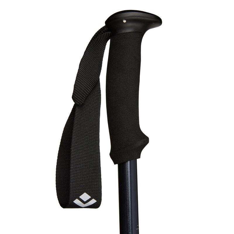 Wandelstokken Black Diamond Explorer 2