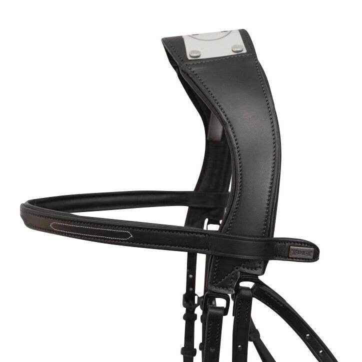Bridles with bridge T de T Manet