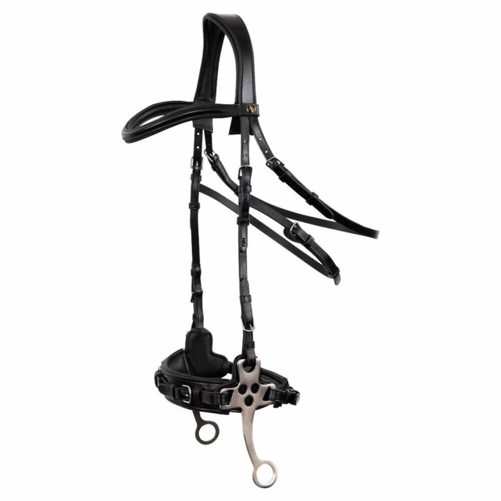 BR Lydney anatomic riding bridles