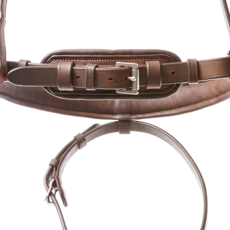 Briglia anatomica da equitazione Kavalkade Everlyn 4/5