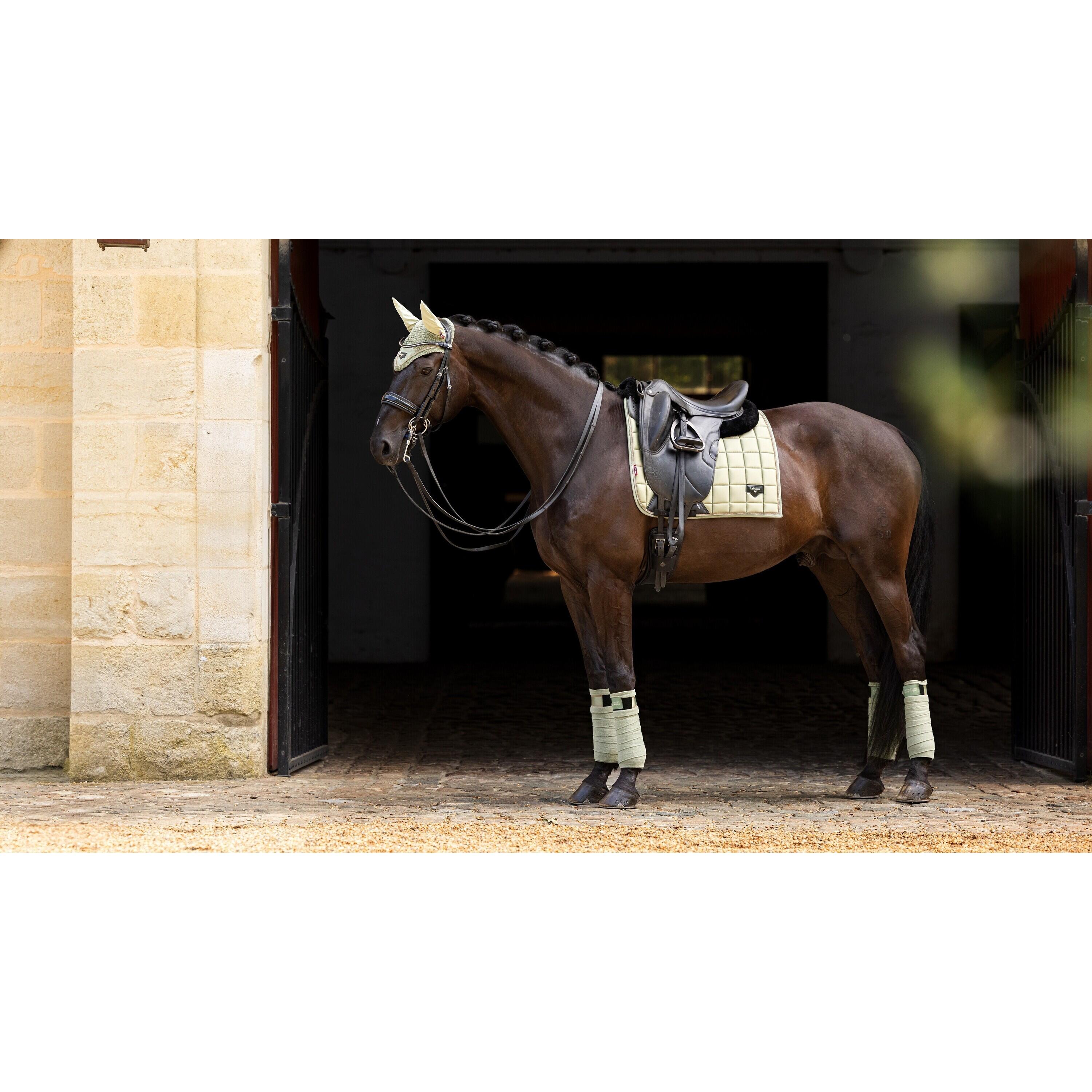 Paardenpolobanden LeMieux Loire 3/3