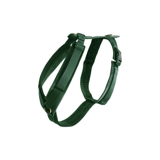 KENTUCKY HORSEWEAR Actieve hondentuig Kentucky Velvet