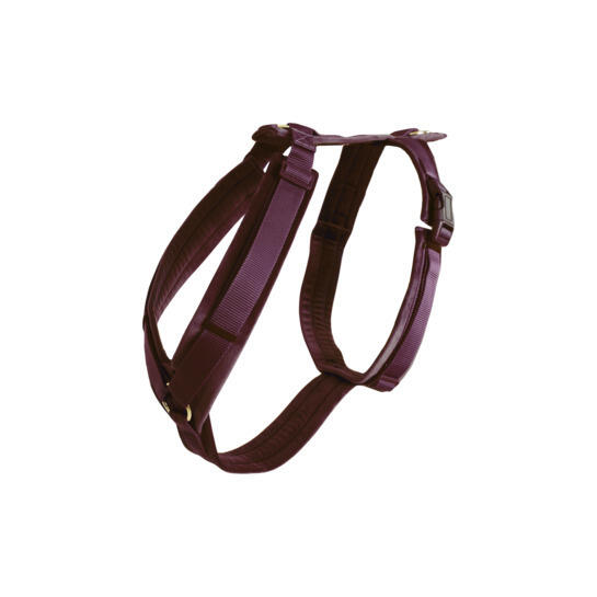 KENTUCKY HORSEWEAR picture