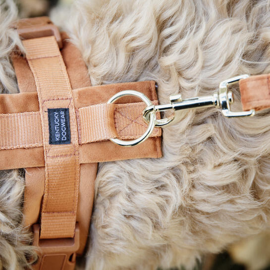 Aktives Hundegeschirr Kentucky Velvet 5/5