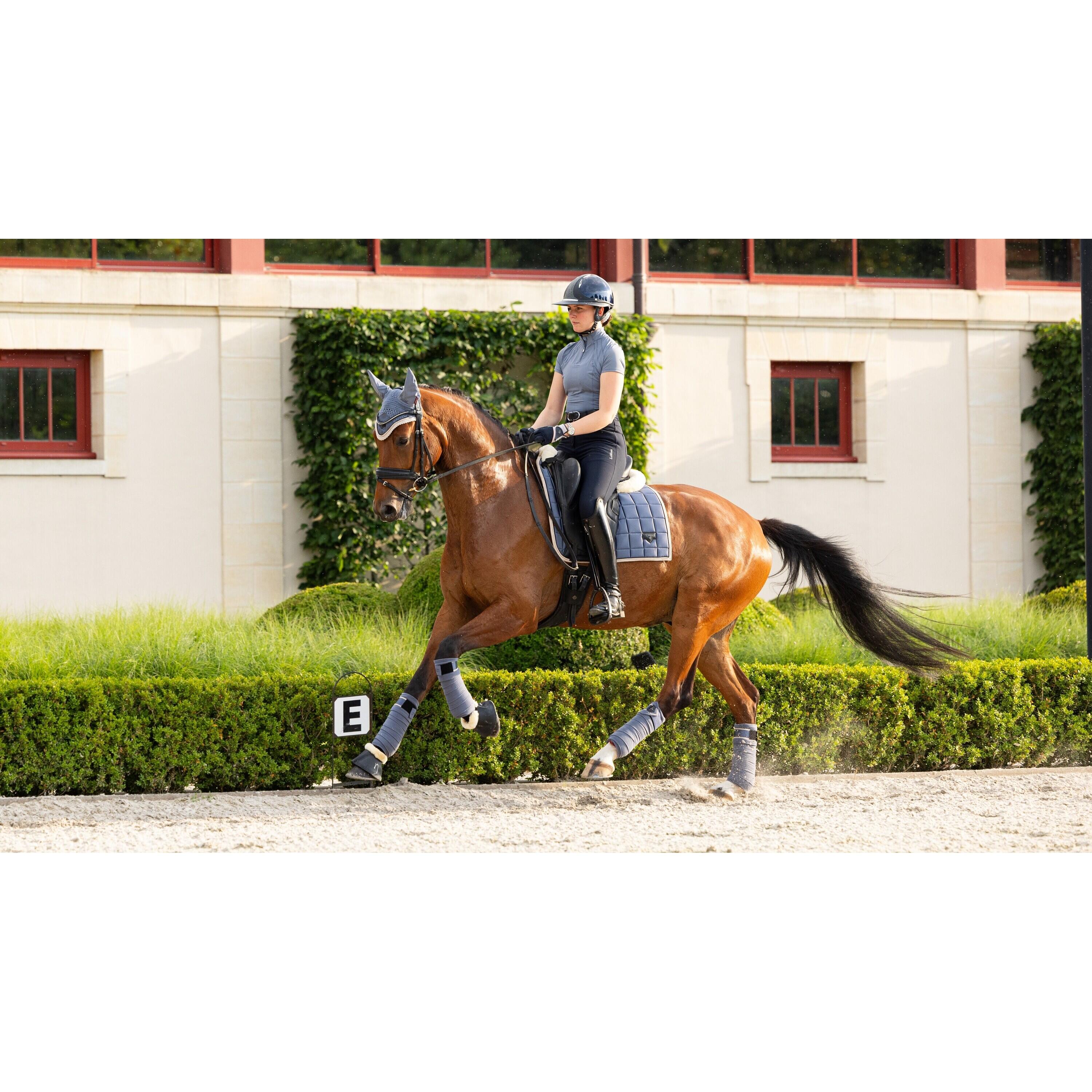 Horse polo bands LeMieux Loire