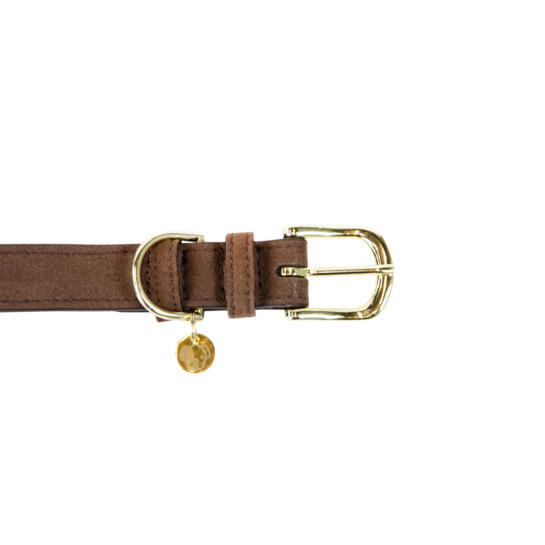 Collier pour chien Kentucky Velvet 2/5