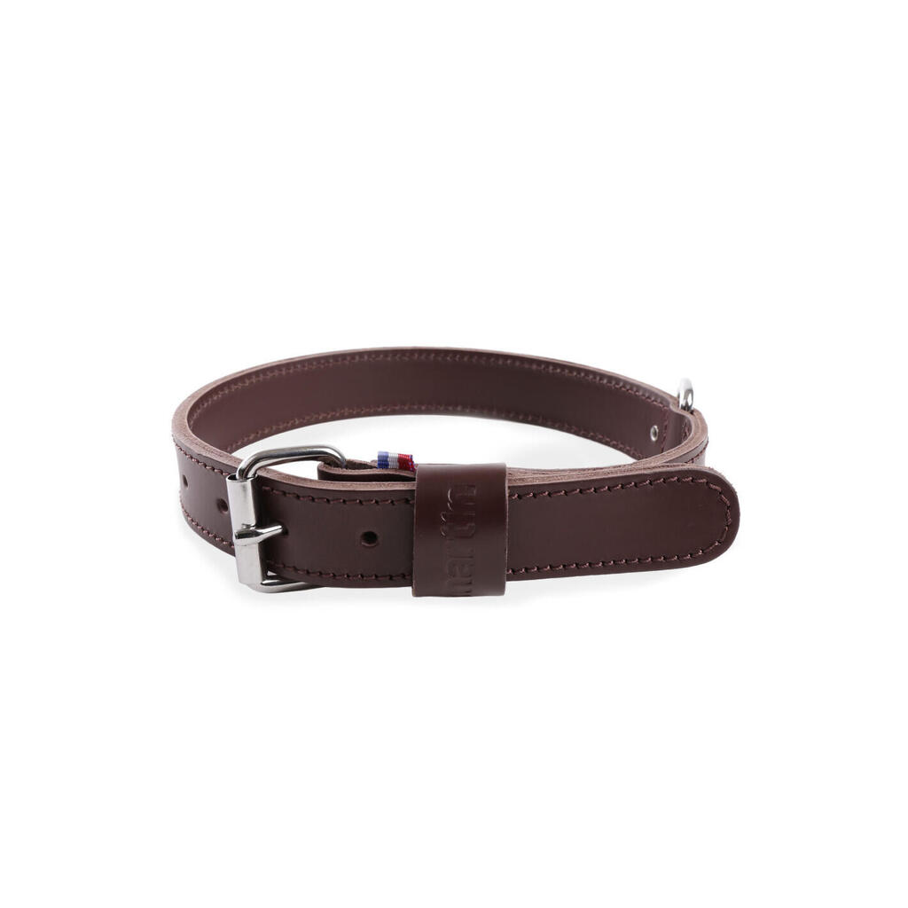 Double-thickness cowhide leather dog collar Martin Sellier 35/75