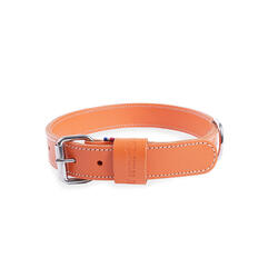 Collier double épaisseur cuir pour chien Martin Sellier 40/95
