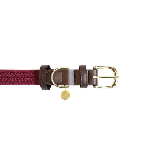 Collier pour chien en Nylon tressé - Kentucky