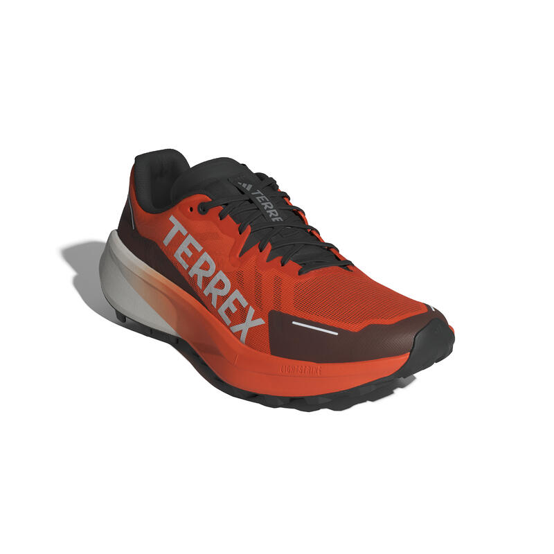 Scarpe trail adidas Terrex Agravic 3