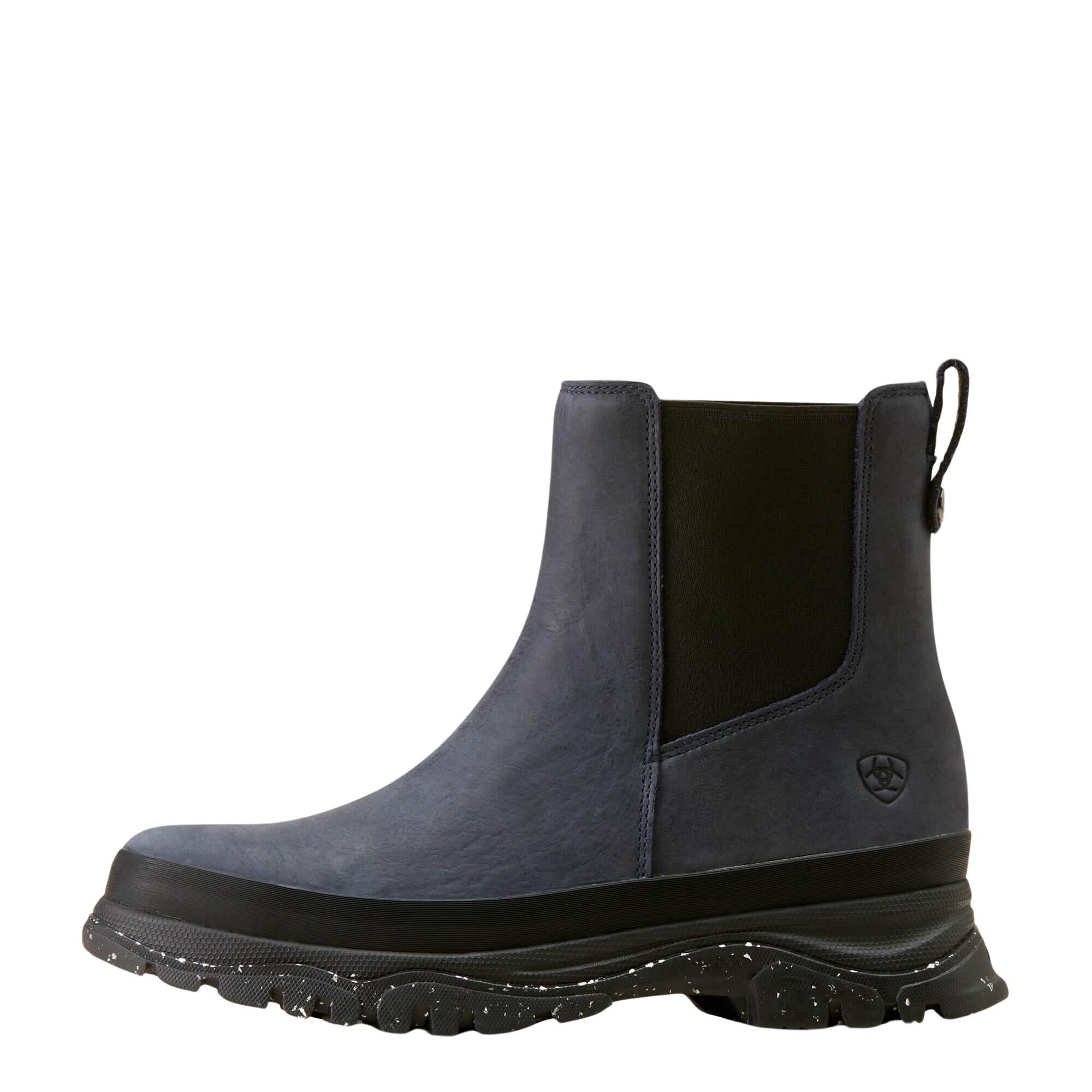 ARIAT picture