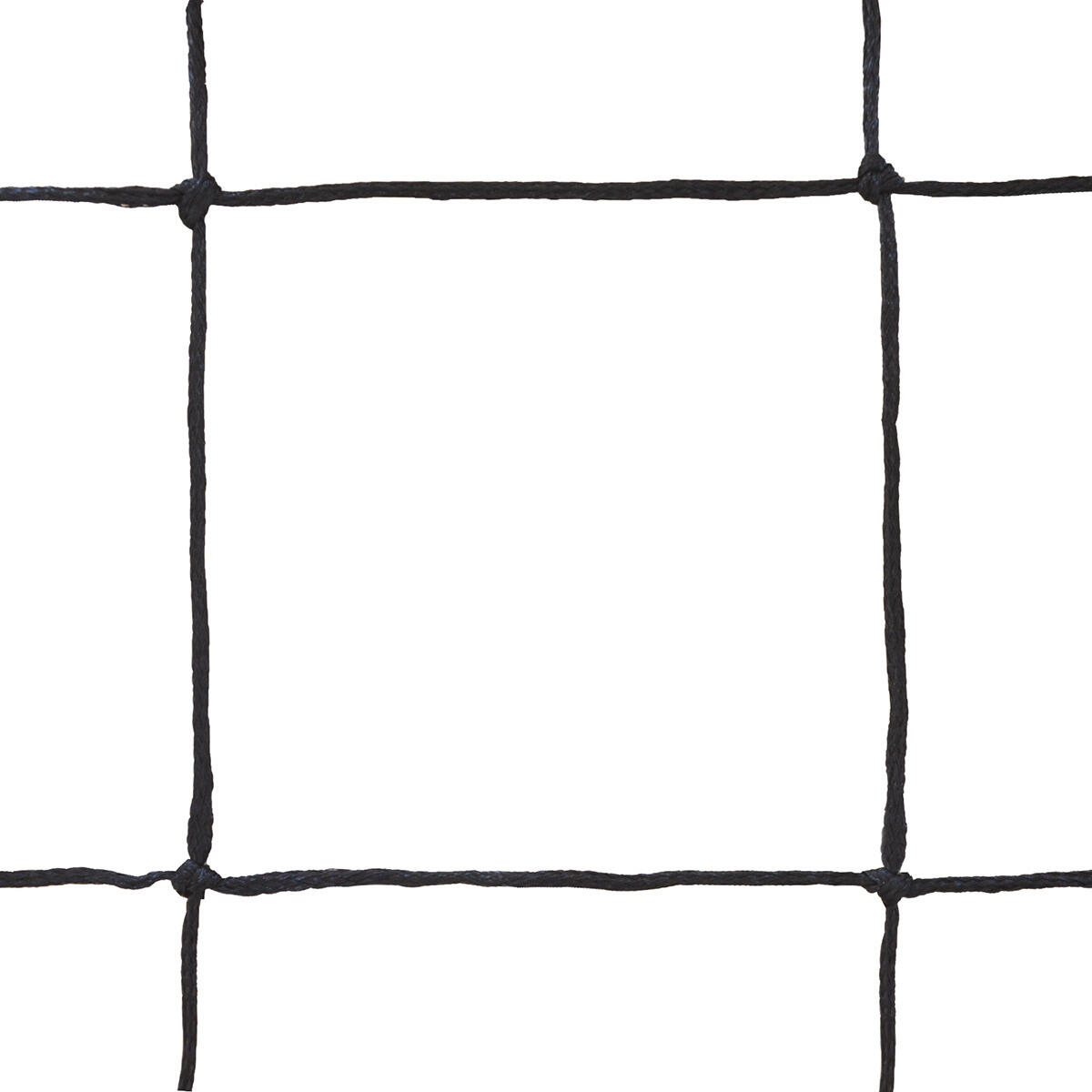 SPORTI FRANCE picture