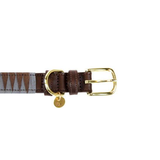 Driekhoek hondenhalsband Kentucky 2/3