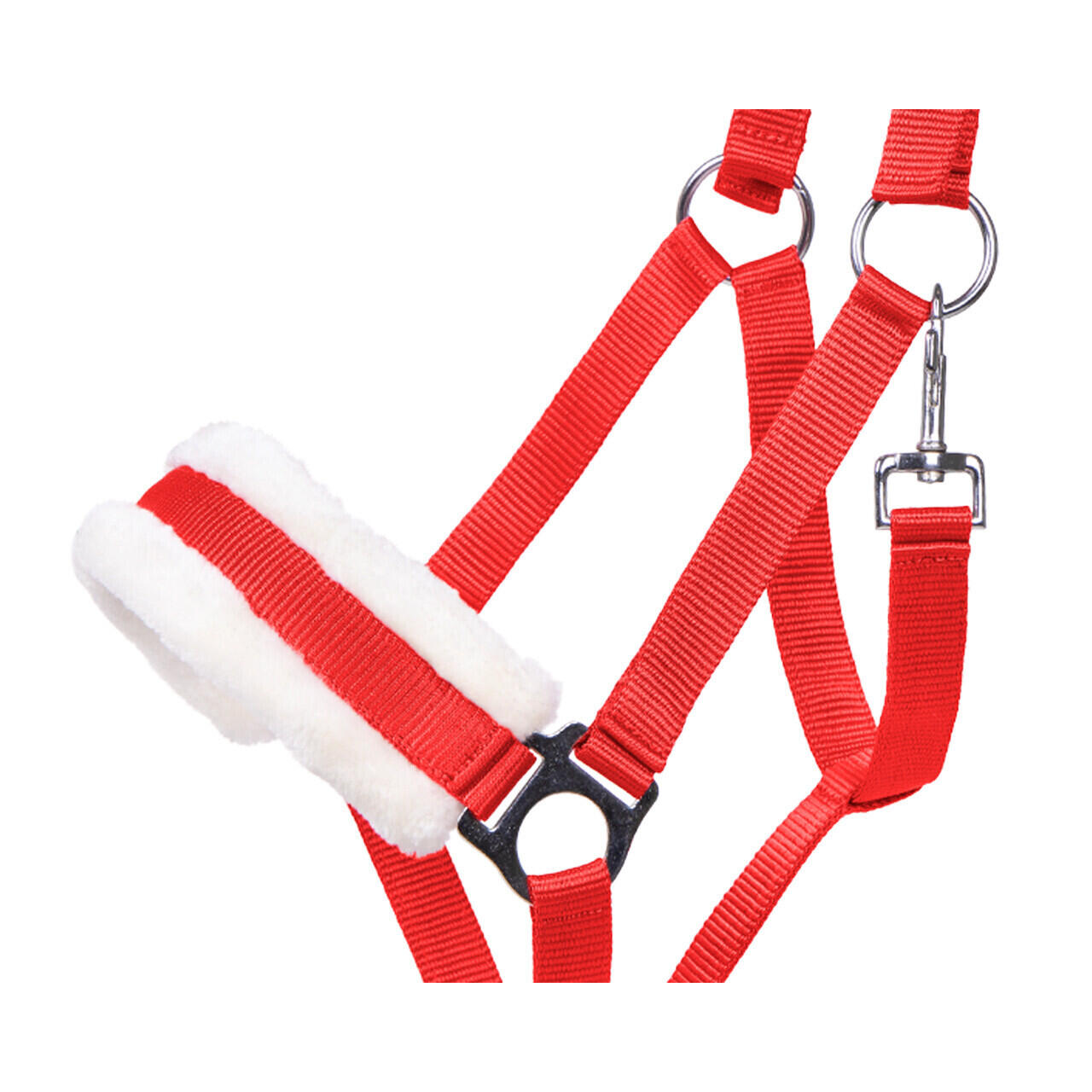 Licol pour poney Q-essentials Cali 2/2