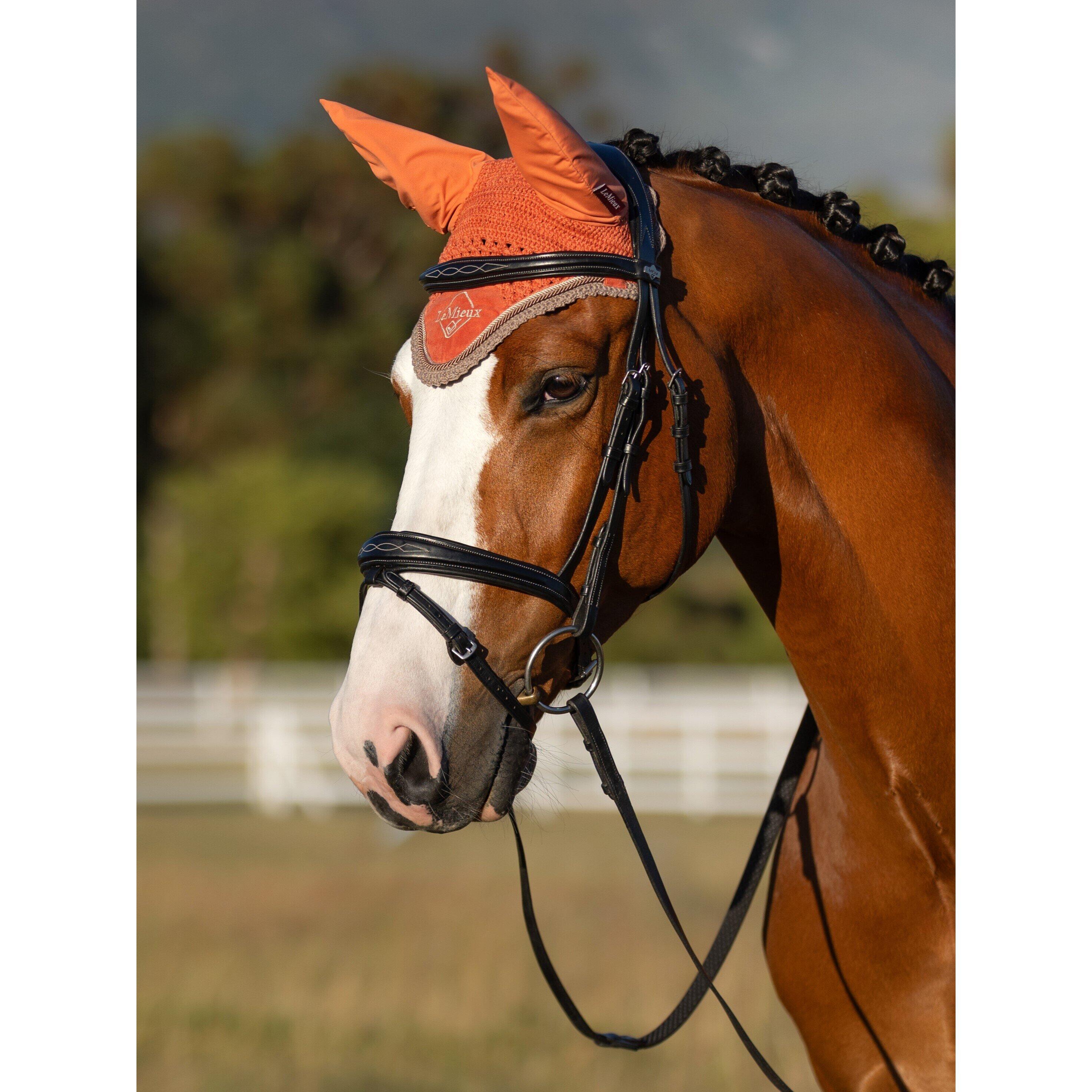 Horse bonnet LeMieux Classic