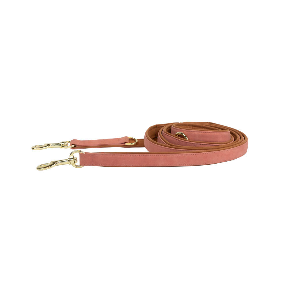 Kentucky vegan leather dog leash 250cm