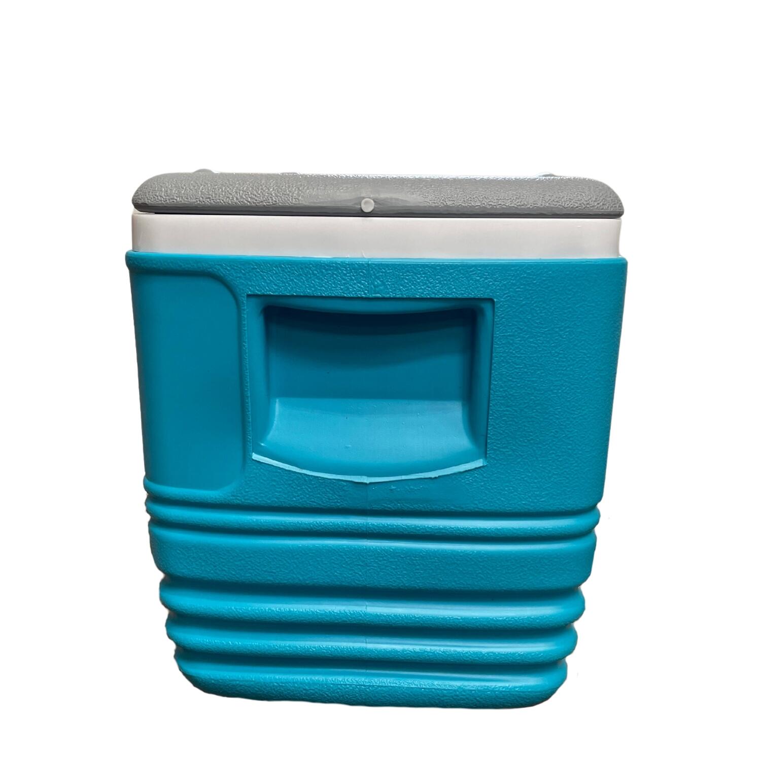 Frigorifero Portatile PINNACLE 34,5L – Compatto e Leggero 3/4