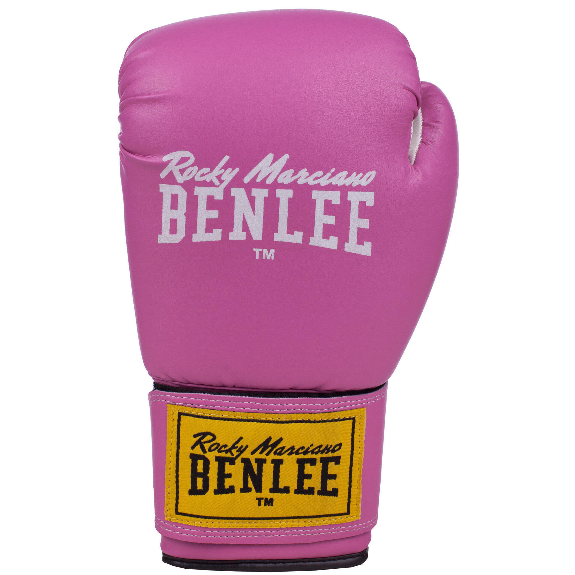 Benlee Rodney boxing gloves