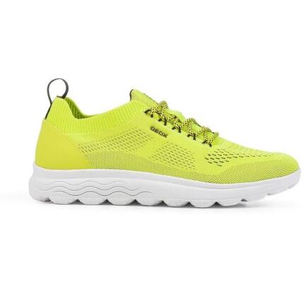 Basket Geox Spherica Homme