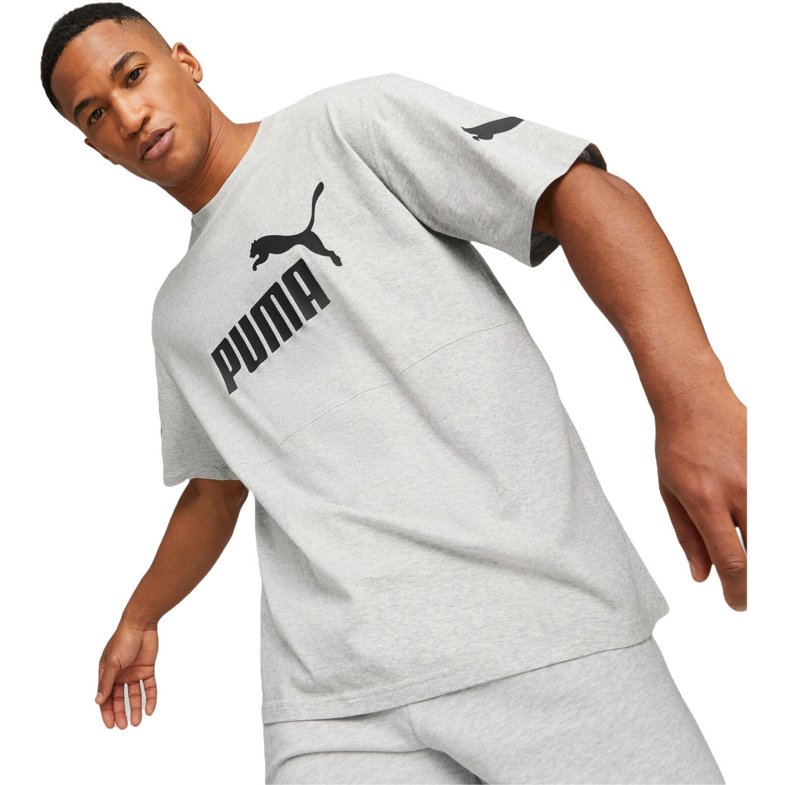 PUMA picture