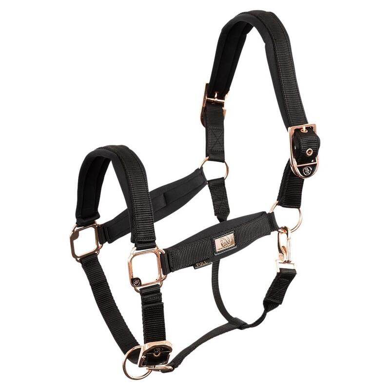 Licol pour cheval BR Equitation Rose Gold